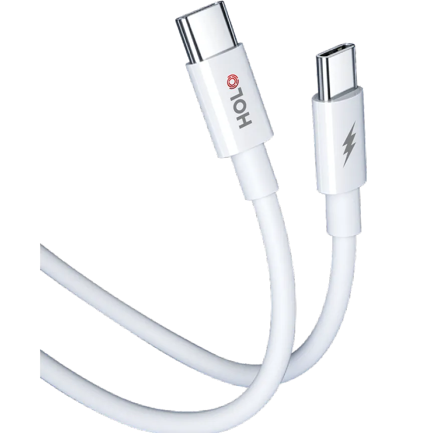 HOLO Fast Charging Cable 100W Type C to Type C